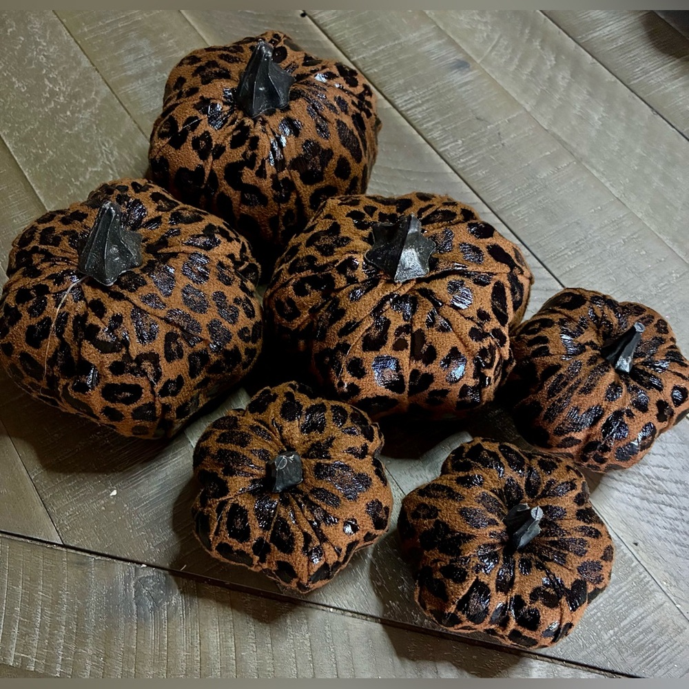 Hobby Lobby Leopard Print Pumpkins - Brown and Black